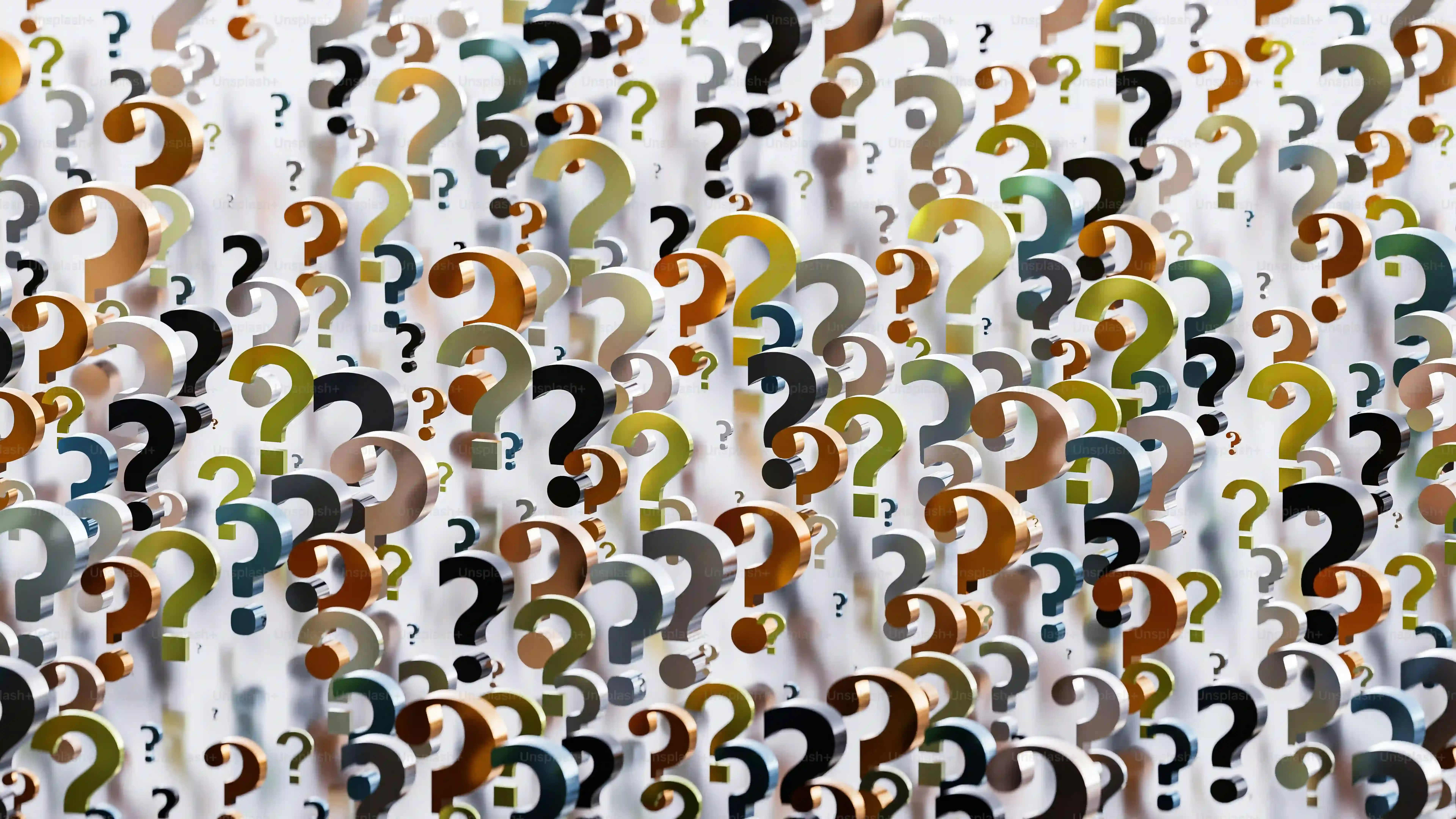 Beyond the Big Day: Questions After the Gender Reveal