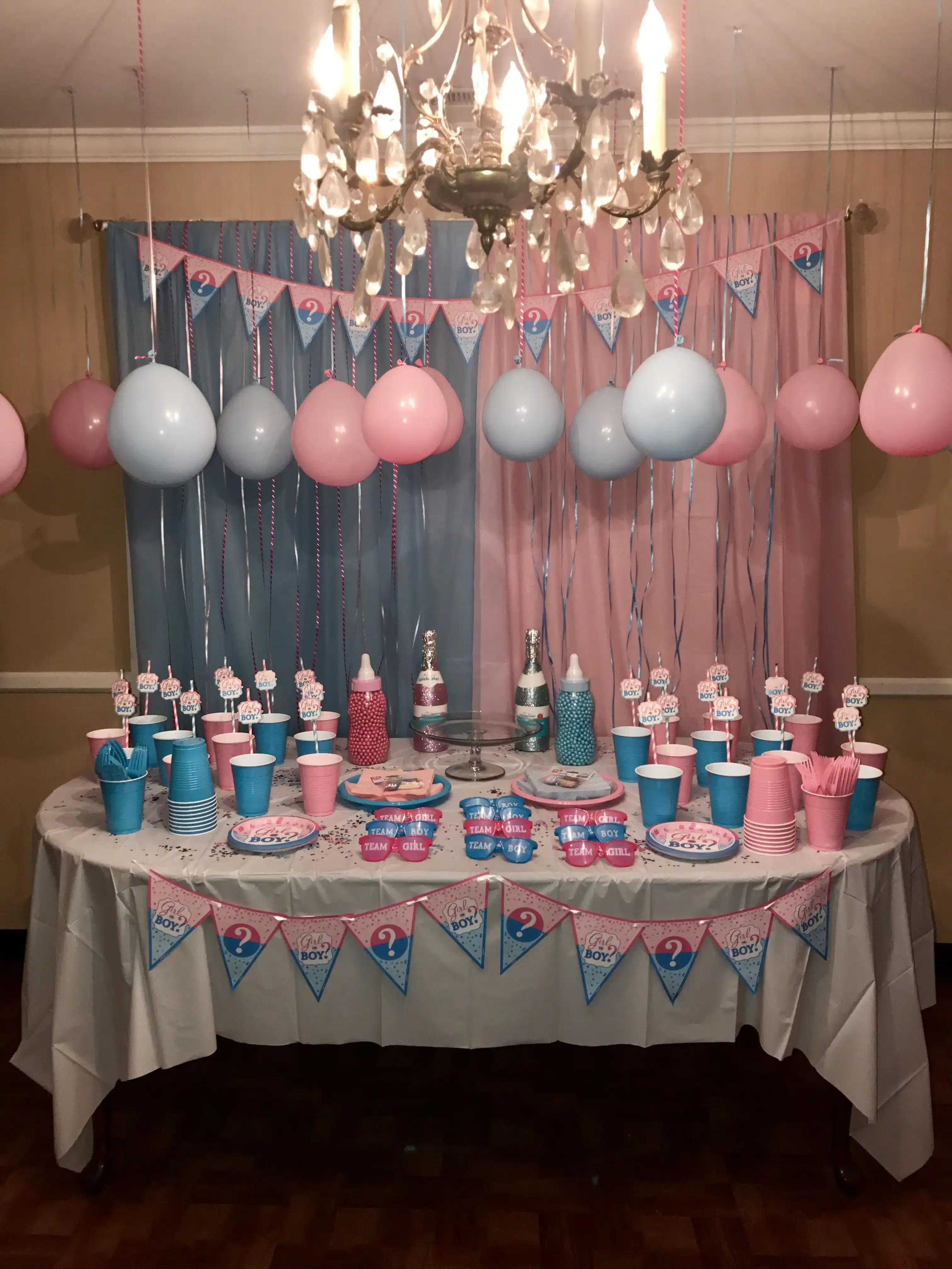 DIY Simple Gender Reveal Decorations on a Budget