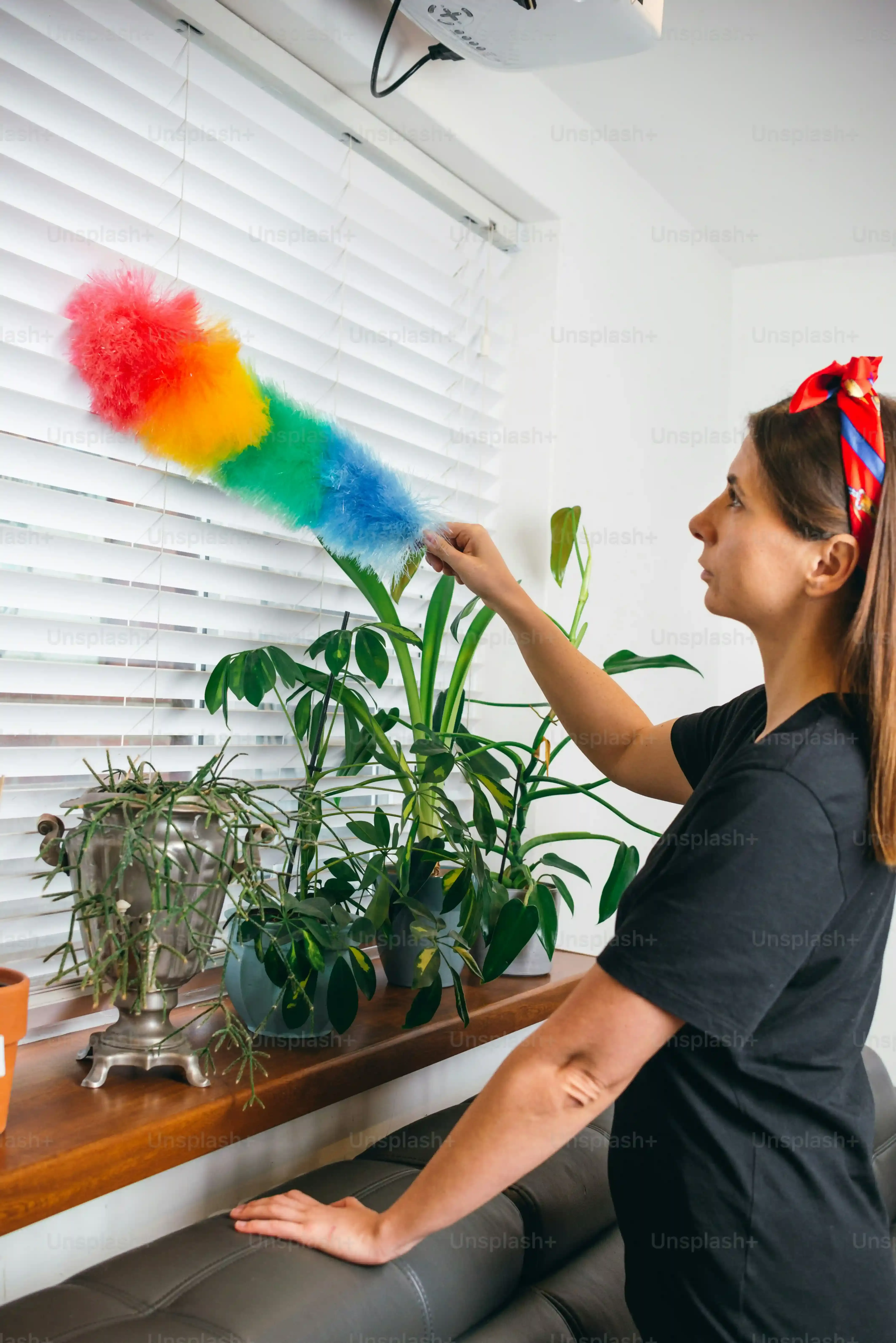 Easy Gender Reveal Decoration Ideas at Home: Simple & Stunning
