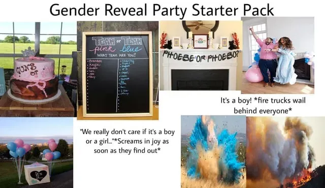 FAQs: Your Gender Reveal Questions Answered (Reddit Style)