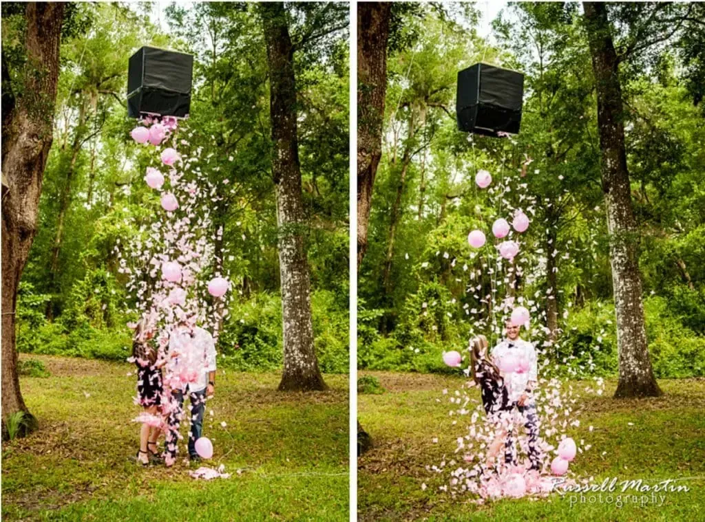 Discover kid friendly gender reveal ideas kids adore