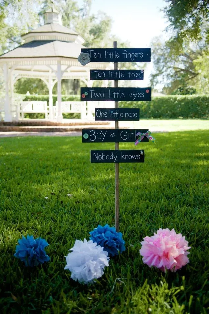 Setting Up Your Gender Reveal Decorations Outside: Practical Tips
