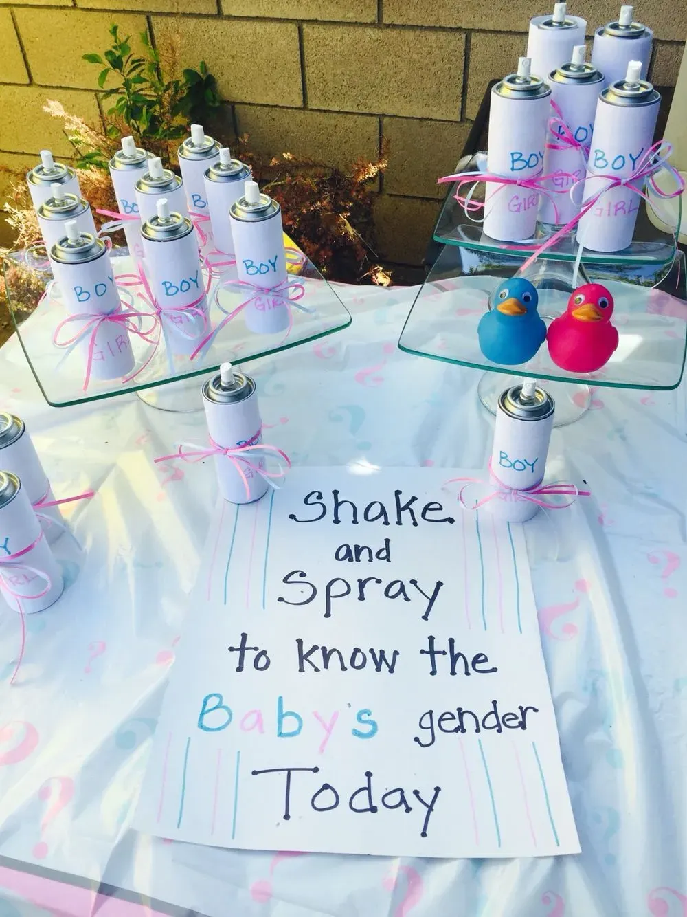 Discover unique gender reveal ideas 2020: Amazing picks