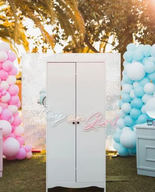 Surprising Unique Indoor Gender Reveal Ideas Revealed